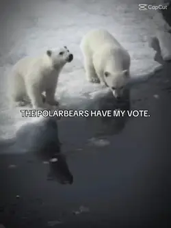 AI or polar bears? 