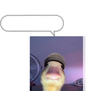 Duck time 