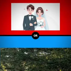 Marry your Crush or?