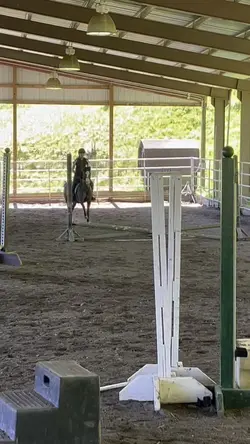 HORSES