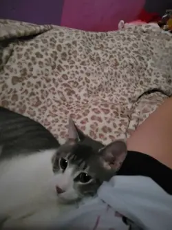 imnophotogapher