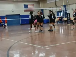 volleyball 
