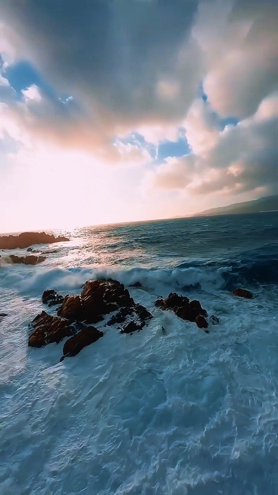 Nueva Trend 