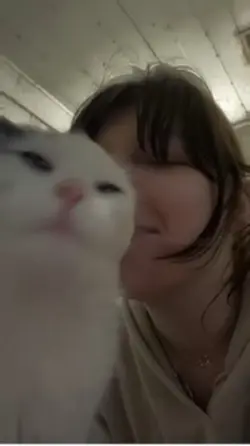 POVs of your pet