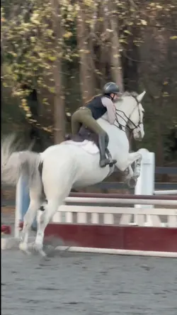 Fall in love again 💘