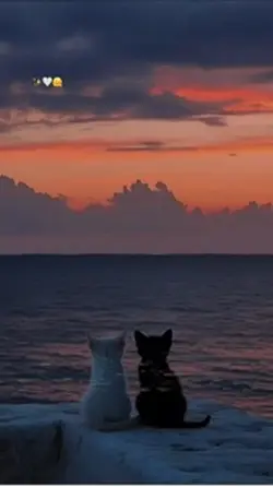 my soul is loving 🥰 