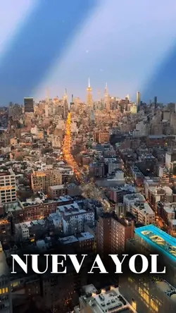 NUEVAYOL BAD BUNNY🐰