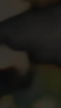 Bhojpuri Trending 