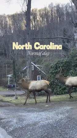 North Carolin