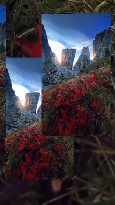 10 video or photo 
