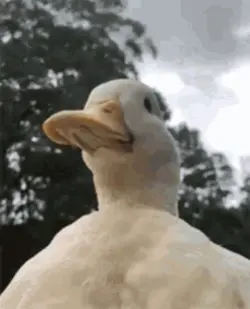 bloopers