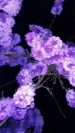 3D Wallpaper