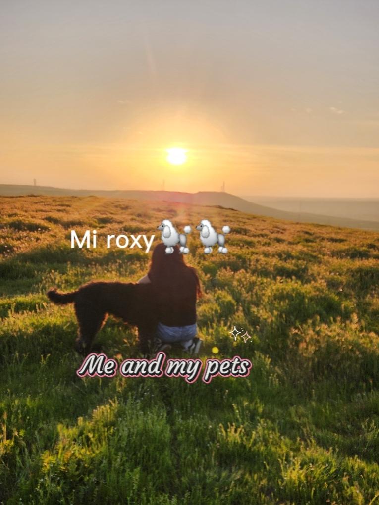 Me and my pets