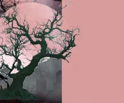 Pink Moon