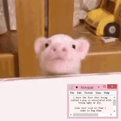 piggy piggy