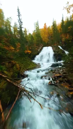 2 video 