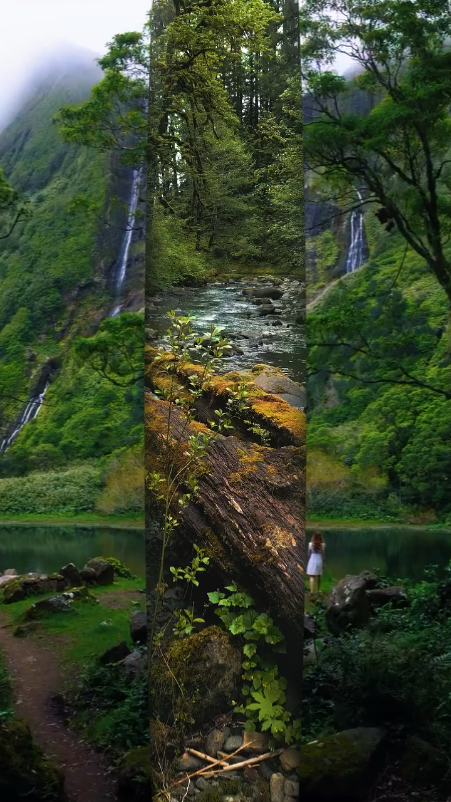 7 video atau foto 