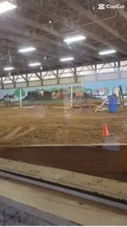 Slow motion horses