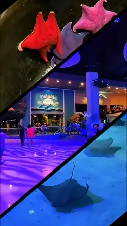 aquarium