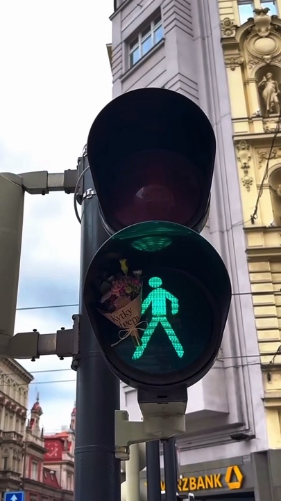 7 video o foto 