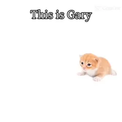 Gary 