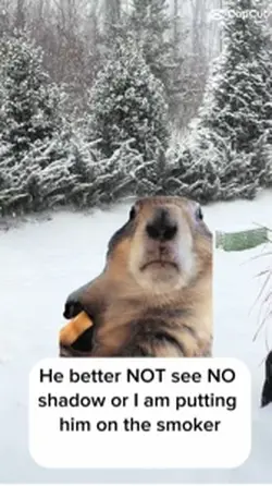#groundhog