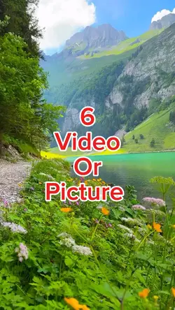 #New #template #song