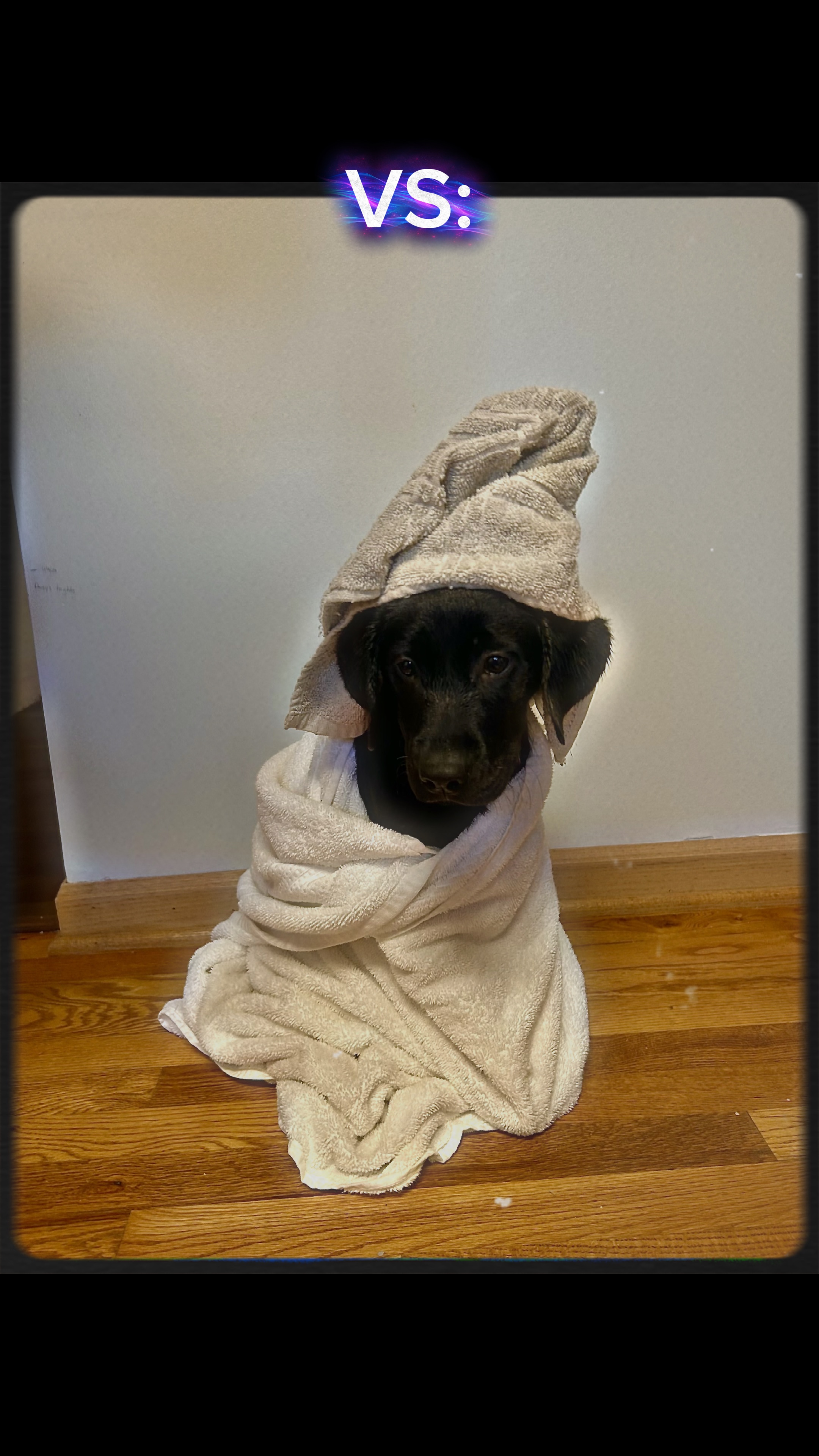 PERRITO / / # editar # triste🐶🥺