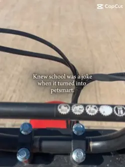 Pit bike 