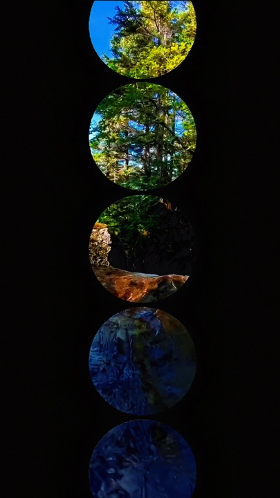 7 photo or video 