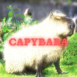 capybara 