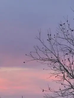 Sky pics