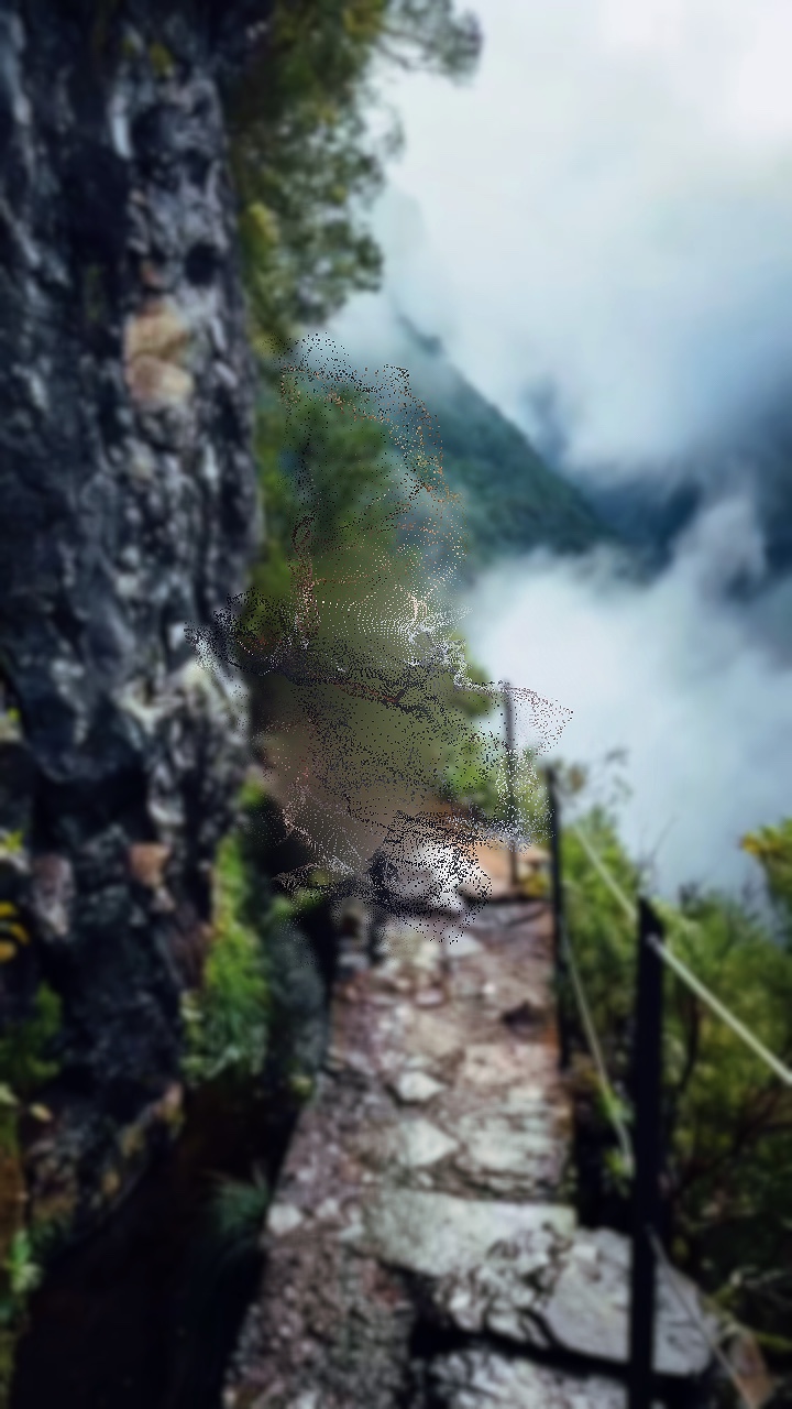 Novo 