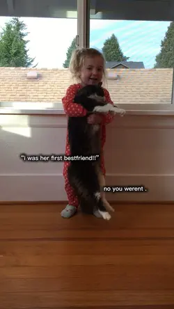 i love my cat
