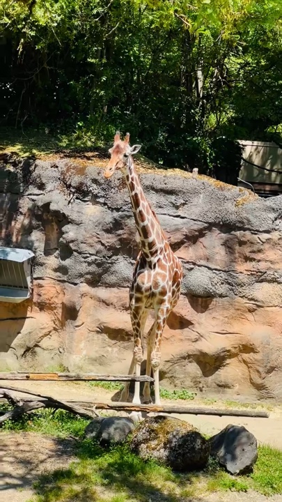 Zoo