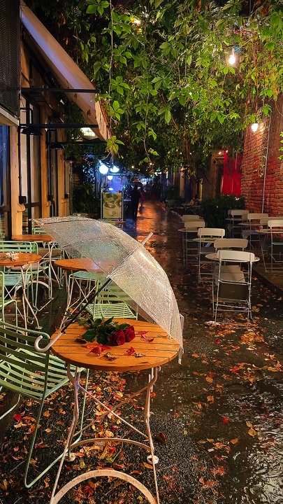6 clipe ou foto 💚
