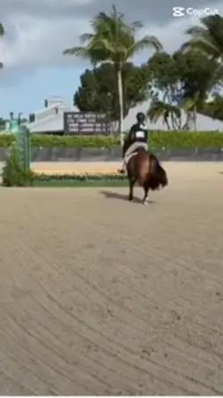 my pony casually 