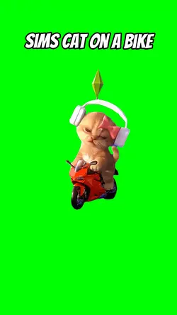 Sims cat on bike 