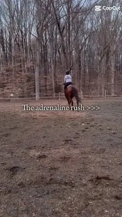 Adrenaline 