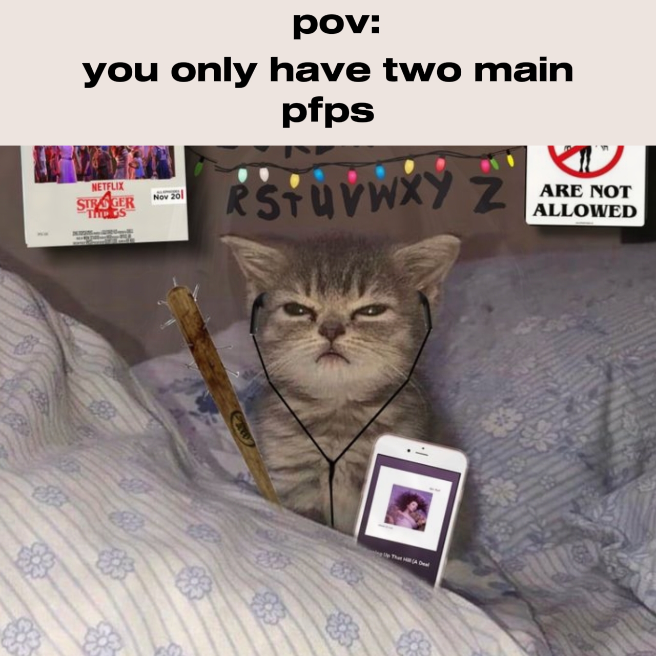 Mein Hauptpfps 