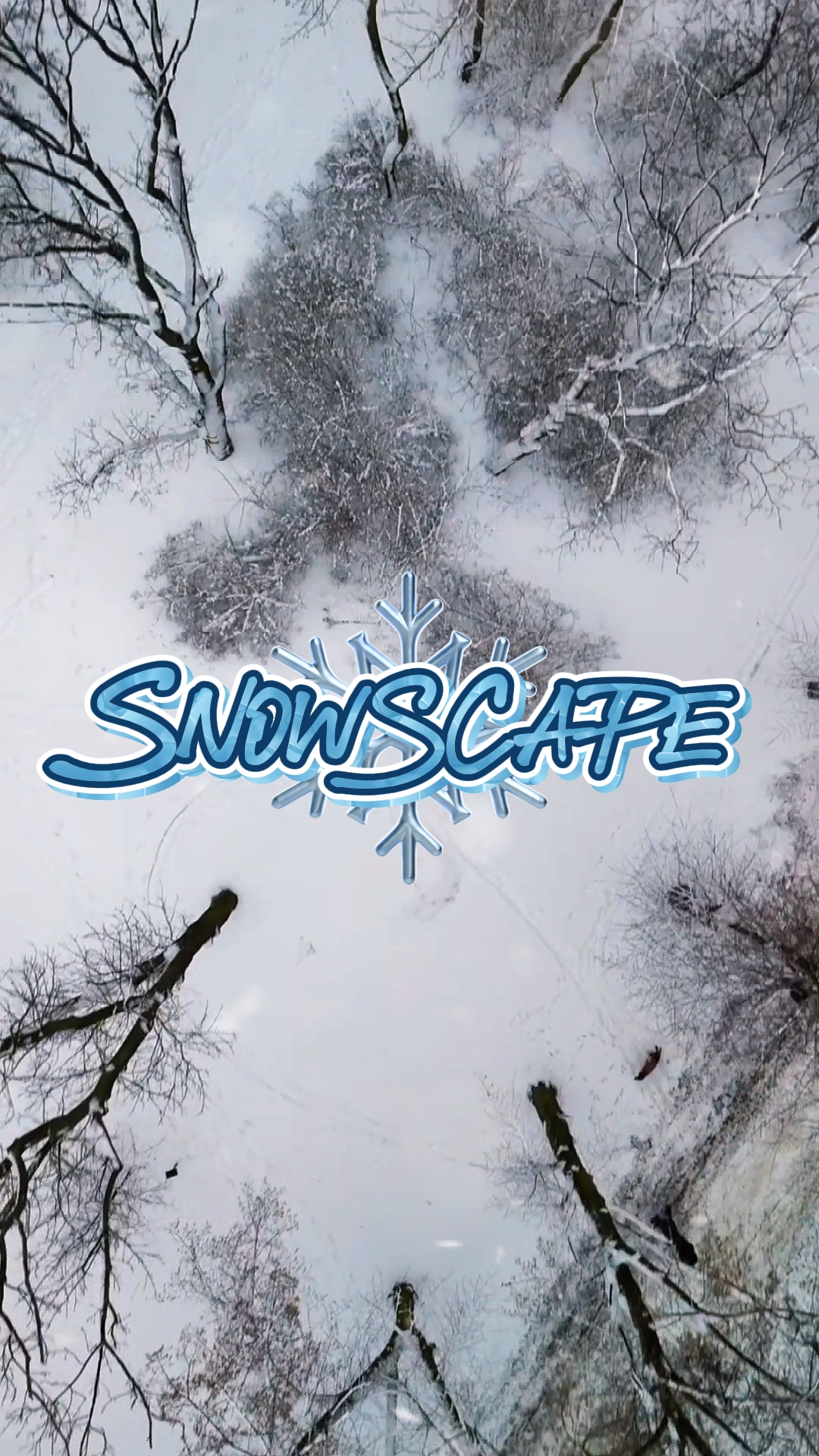 Fuga de neve