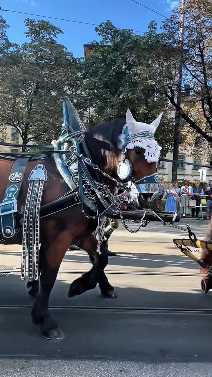 parade	