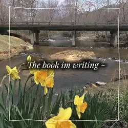 .The book I’m writin