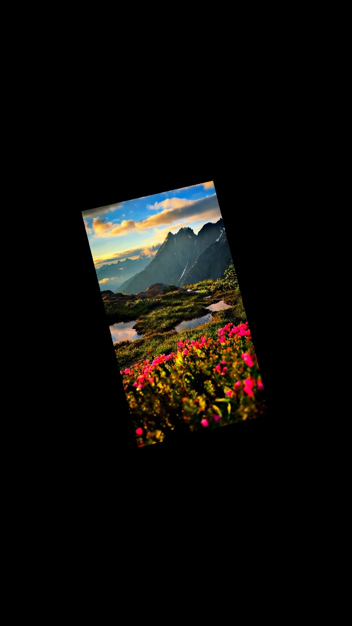 Cover Picture