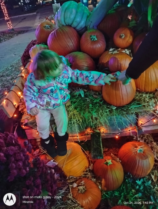 pumpkin time 