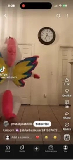 Pink fluffy unicorns