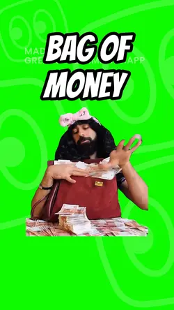 Bag of money 