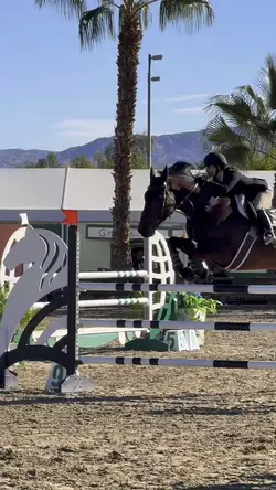 Showjumping slomo😎🌴