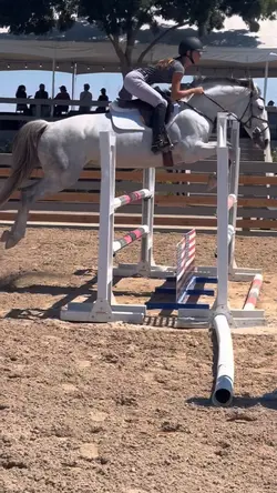 repostt ‼️⚠️FAKE⚠️‼️