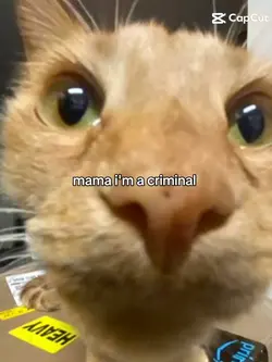 mama I'ma criminal